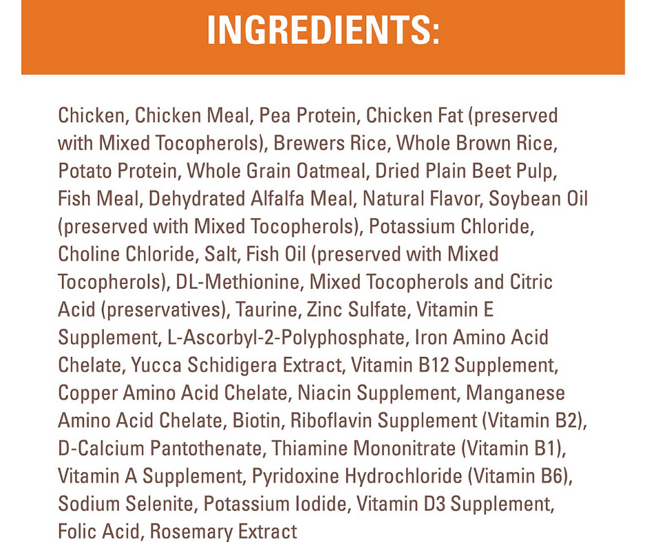 Nutro kitten food online