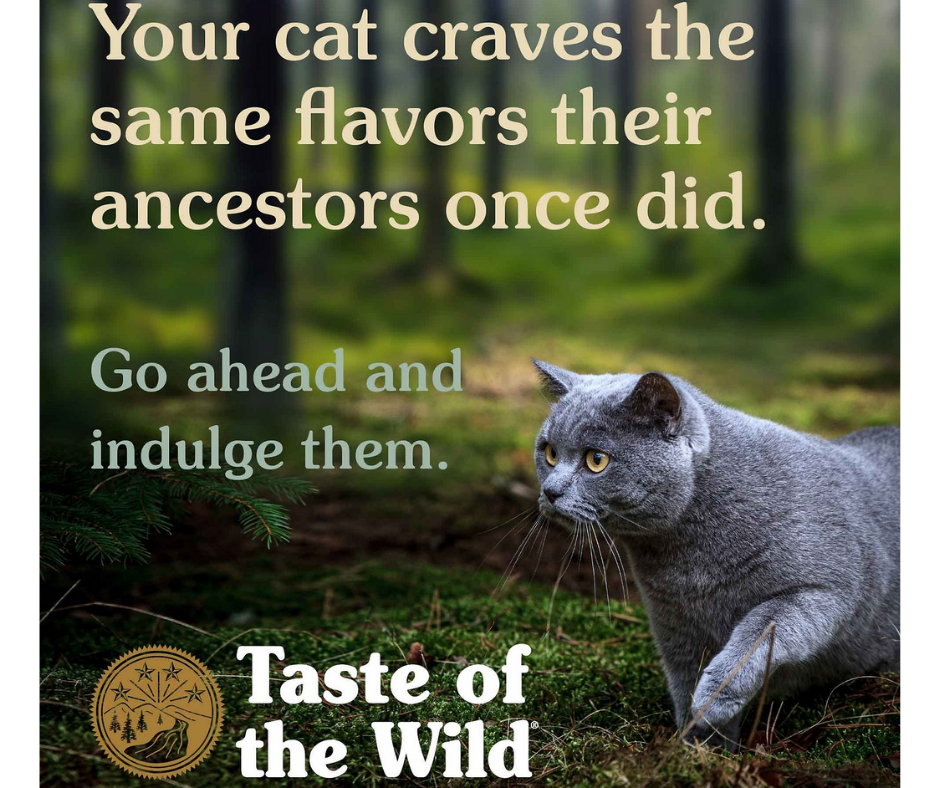Taste of the Wild - All Cat Breeds, All Life Stages Canyon River Feline, Trout & Smoked Salmon Recipe Dry Cat Food-Southern Agriculture