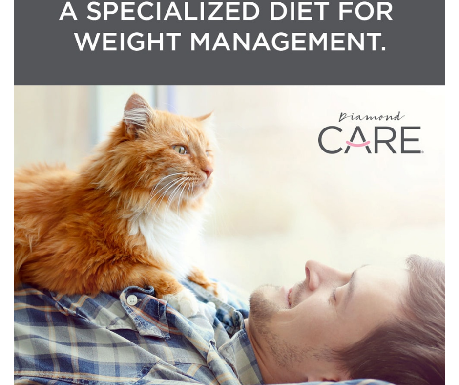 Diamond Care - Overweight, Adult Cat Weight Management Formula Dry Cat Food-Southern Agriculture