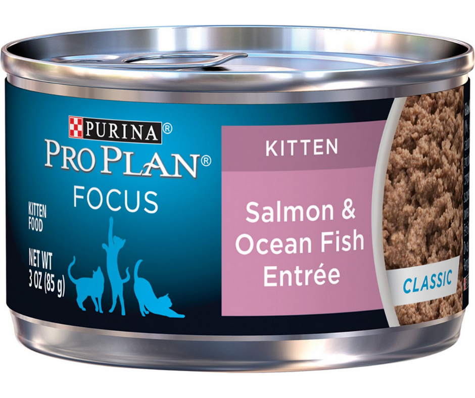 Purina Pro Plan FOCUS - All Breeds, Kitten Salmon & Ocean Fish Entrée Classic Canned Cat Food-Southern Agriculture