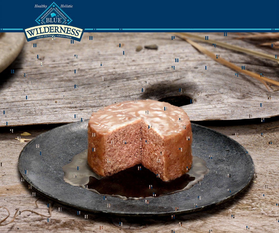 Blue buffalo sales salmon cat food