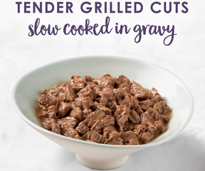 Purina Fancy Feast - All Breeds, Adult Cat Grilled Beef in Gravy Recipe Canned Cat Food-Southern Agriculture