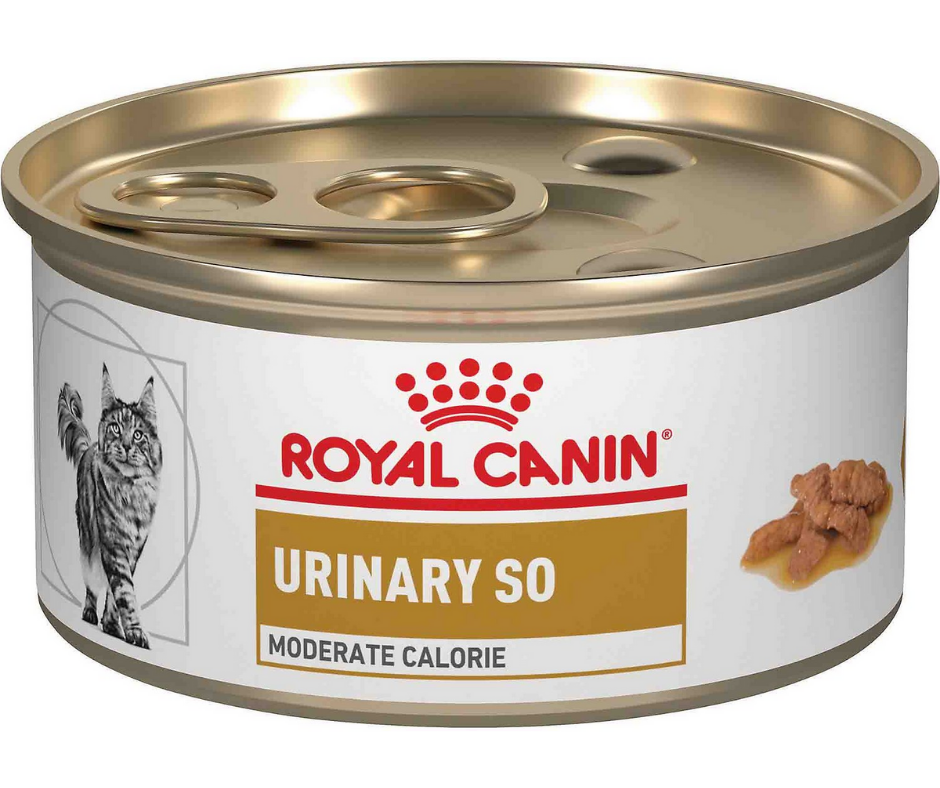 Royal Canin Veterinary Diet - Urinary SO, Moderate Calorie Morsels in Gravy Canned Cat Food-Southern Agriculture