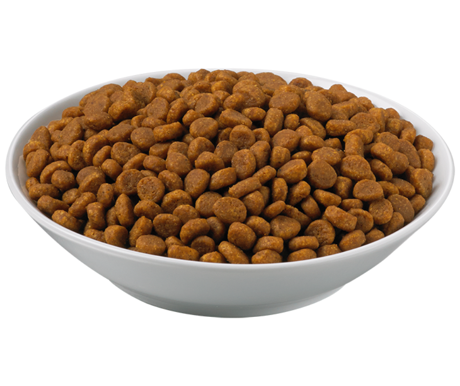 Dm purina cat food hot sale