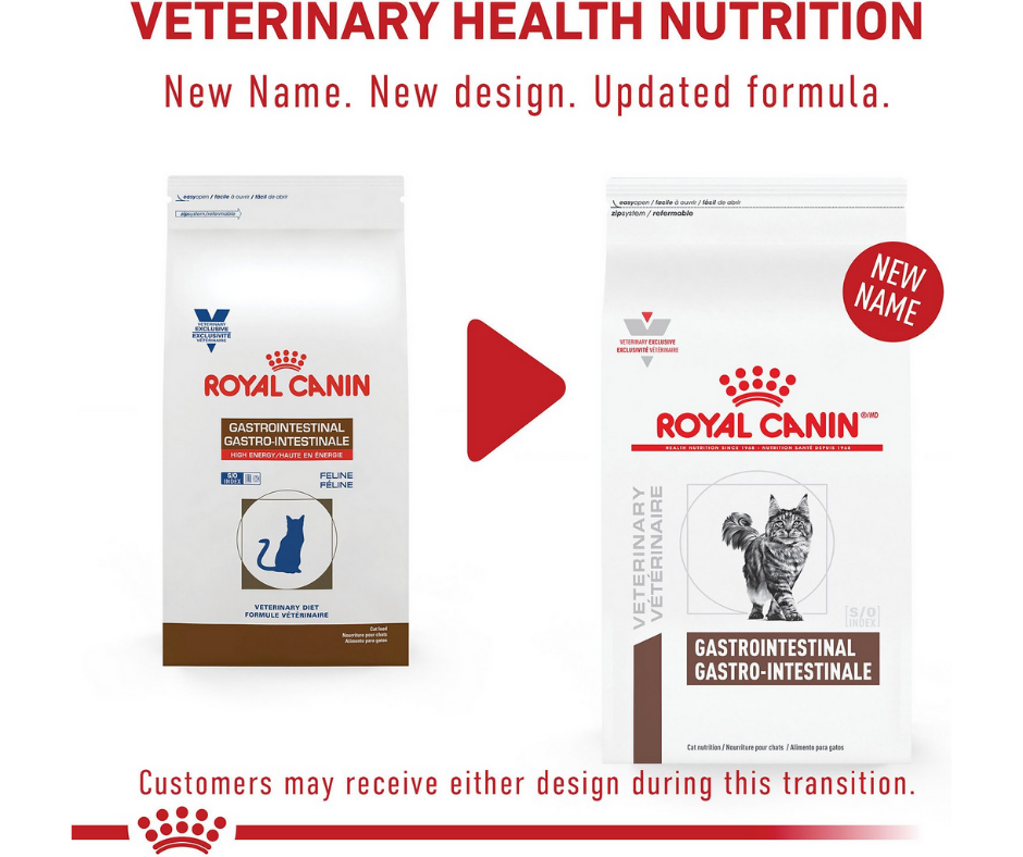 Royal Canin Veterinary Diet - Gastrointestinal Dry Cat Food-Southern Agriculture