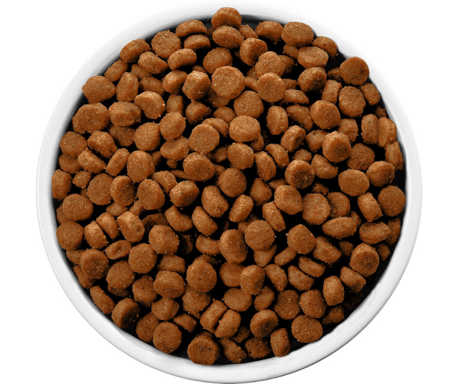 Hills cd sales dog food coupon