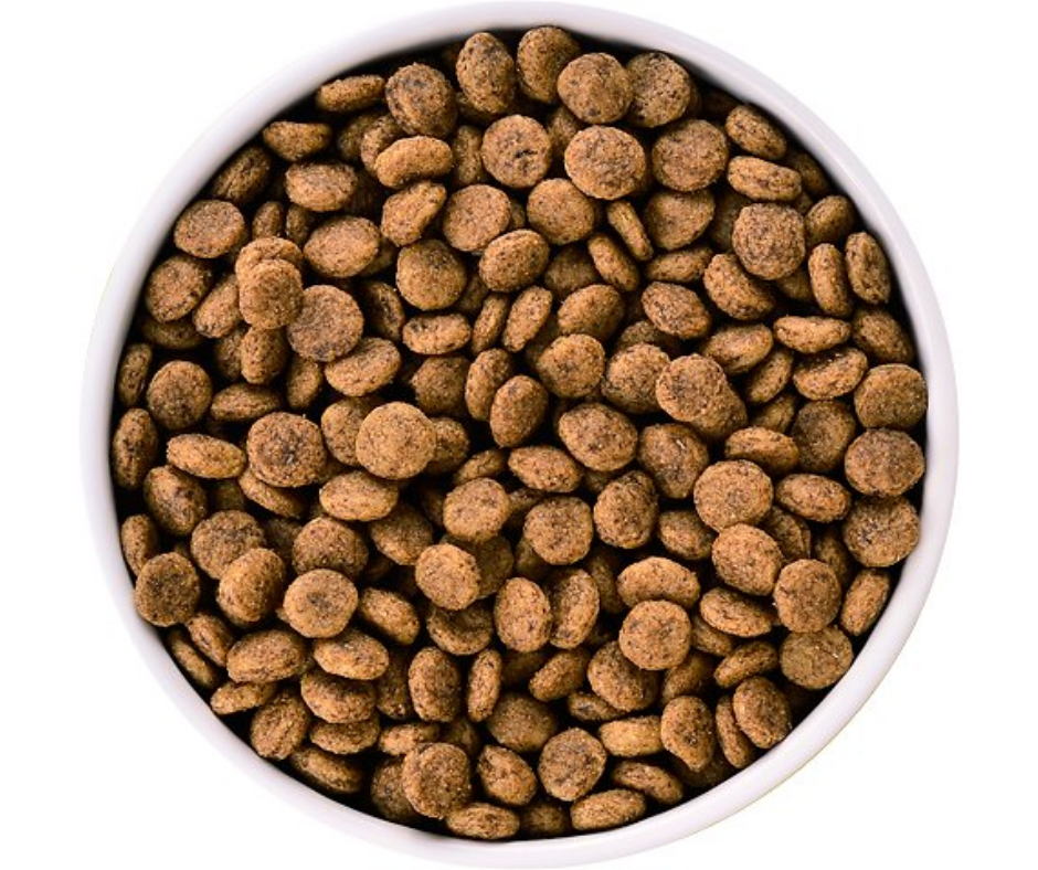 Hill's Prescription Diet - d/d Skin & Food Sensitivities - Potato & Salmon Formula Dry Dog Food-Southern Agriculture