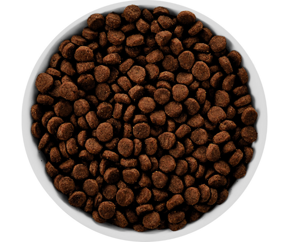 Zd dry dog sales food