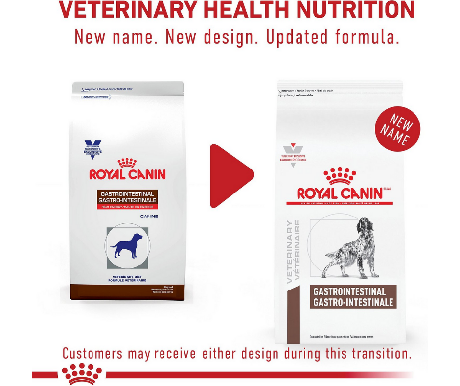 High energy royal sales canin