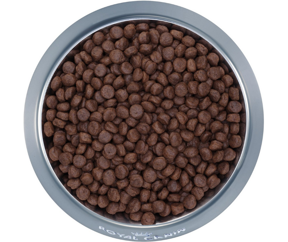 Royal canin selected protein pr hot sale