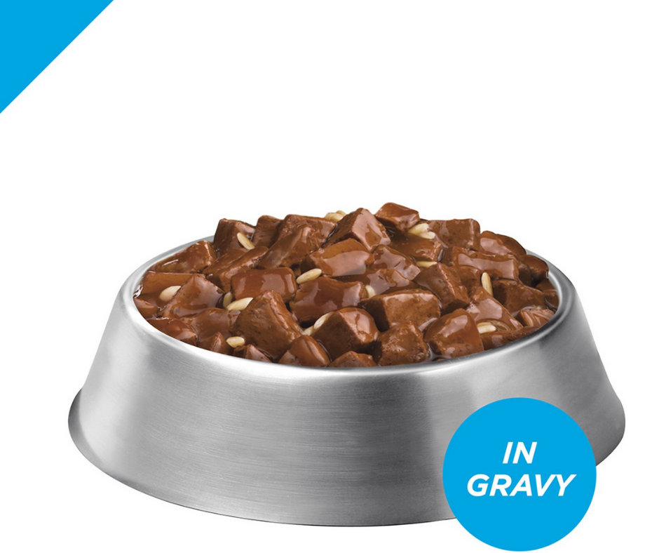 Purina Pro Plan Focus - Large Breed, Adult Dog Beef & Rice Entree Chunks in Gravy Canned Dog Food-Southern Agriculture