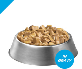 Purina Pro Plan Focus - Large Breed, Adult Dog Chicken & Rice Entree Chunks in Gravy Canned Dog Food-Southern Agriculture