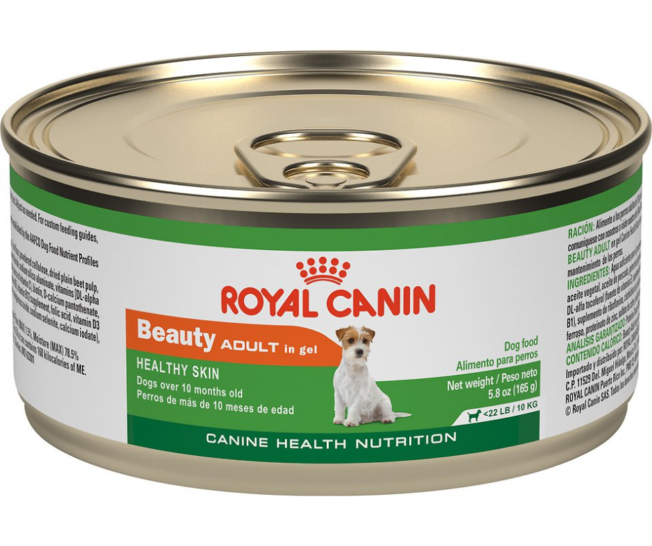 Royal Canin - Beauty Healthy Skin Formula Canned Dog Food-Southern Agriculture