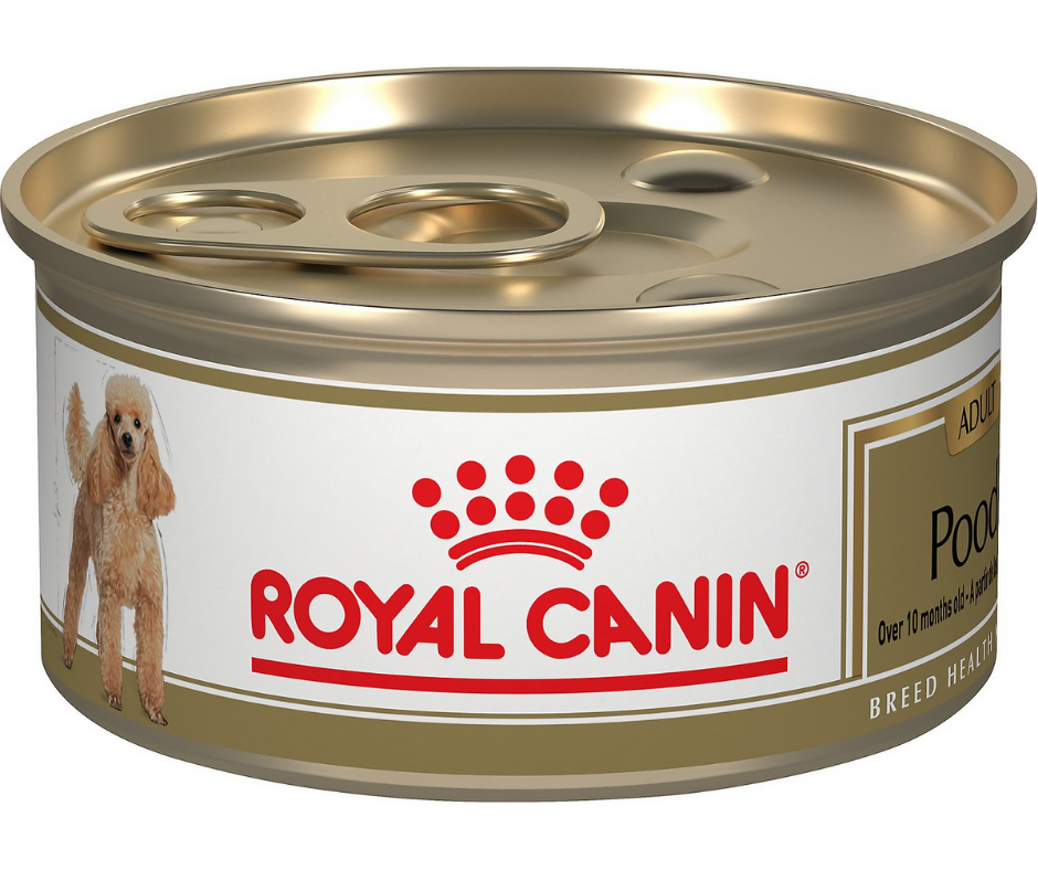 Royal Canin - Adult Poodle Pork, Chicken, and Salmon Loaf in Sauce Canned Dog Food-Southern Agriculture