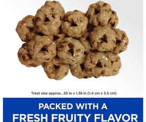 Hill's Natural - Fruity Crunchy Snacks Apples & Oatmeal. Dog Treat.-Southern Agriculture