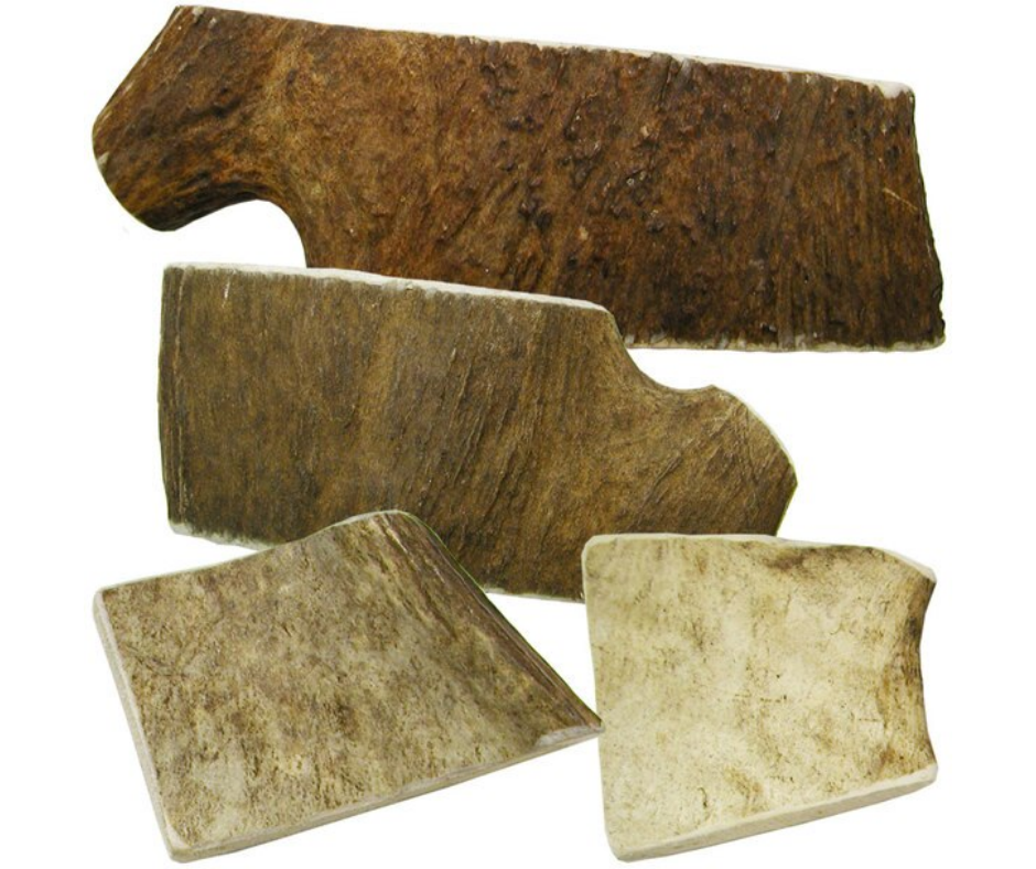 Happy Dog of Cape Cod - Moose Antler Chews. Dog Treats.-Southern Agriculture