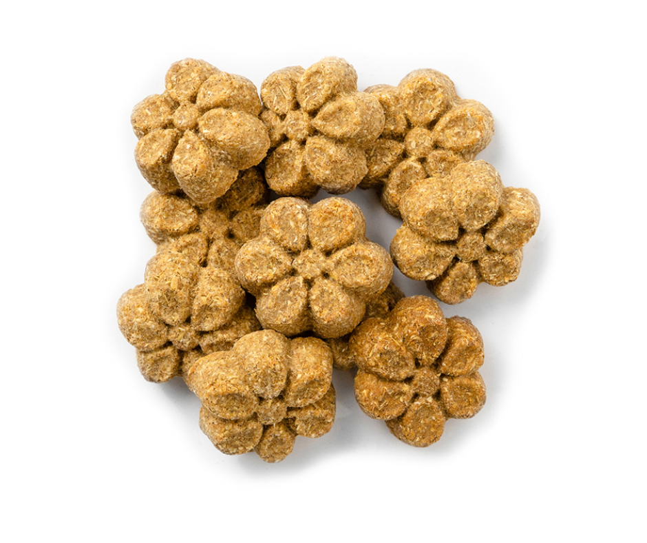 Fruitables - Sweet Potato & Pecan Crunchy. Dog Treats.-Southern Agriculture