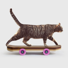 Cat Scratcher Skateboard-Southern Agriculture