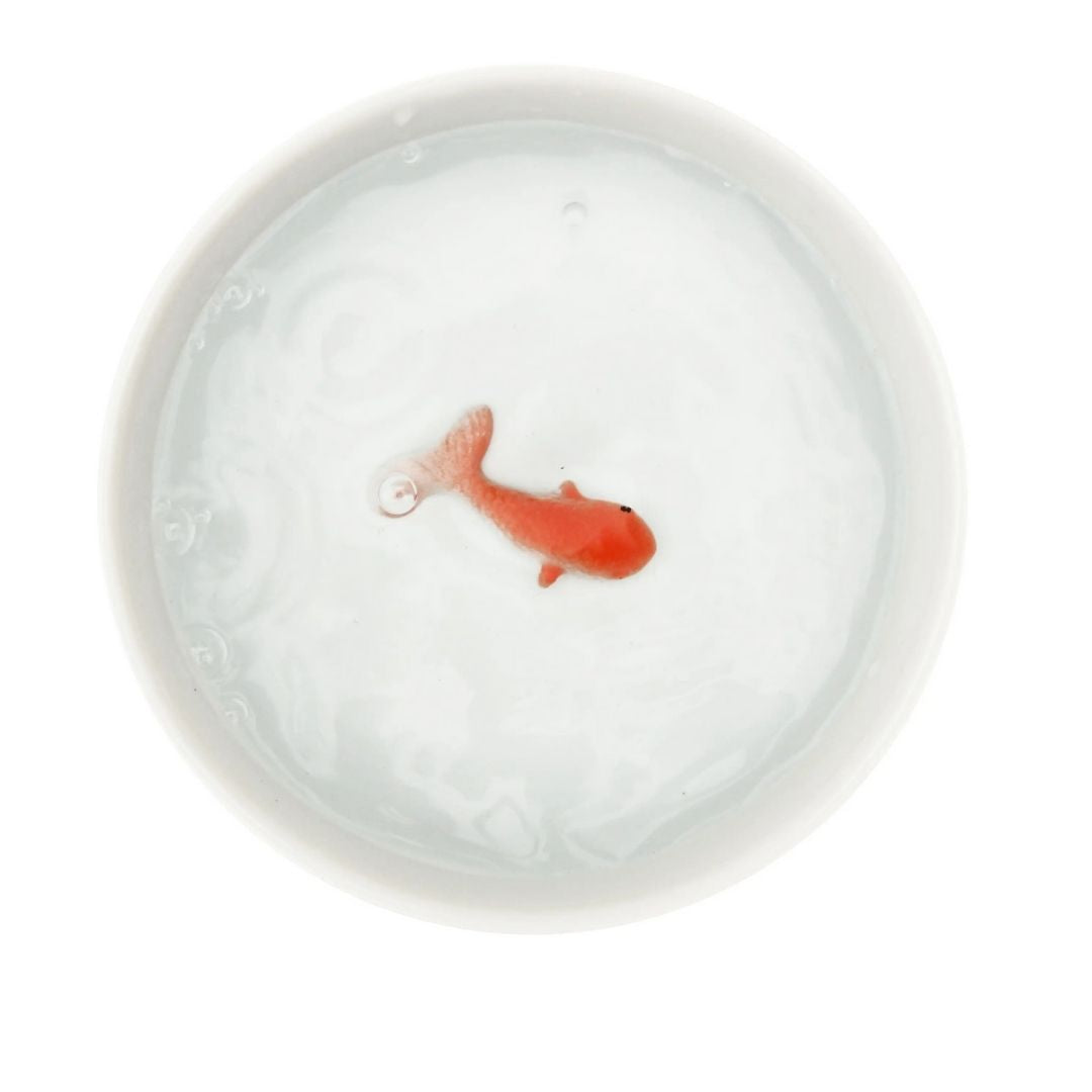 Goldfish Cat Water Bowl-Southern Agriculture