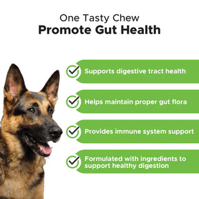 Pet Honesty - Digestive Probiotics Pumpkin Tasty Chews For Dogs