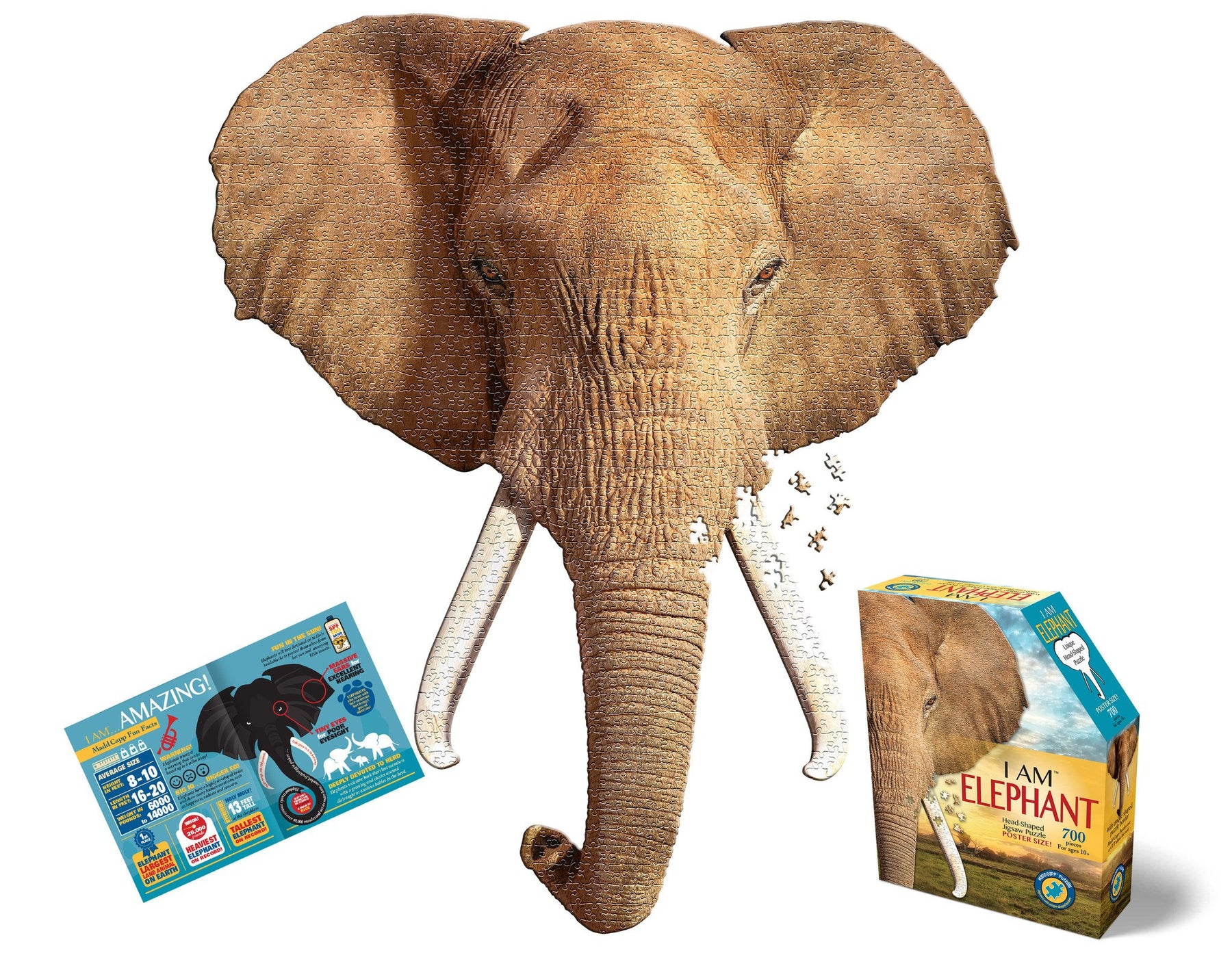 Madd Capp Puzzle: I AM Elephant-Southern Agriculture