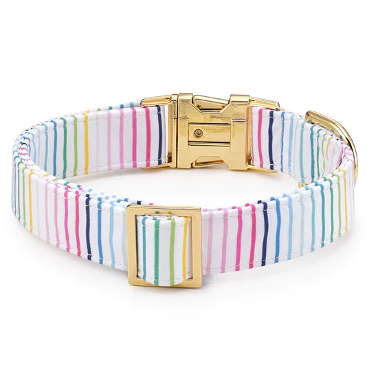 Foggy Dog - Dog Collar Happy Stripe Simplified with Gold Hardware