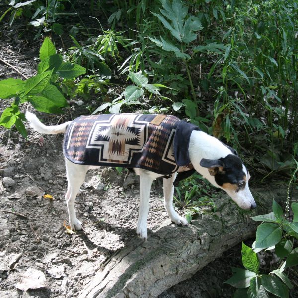 Carolina Pet - Pendleton Harding Dog Coat