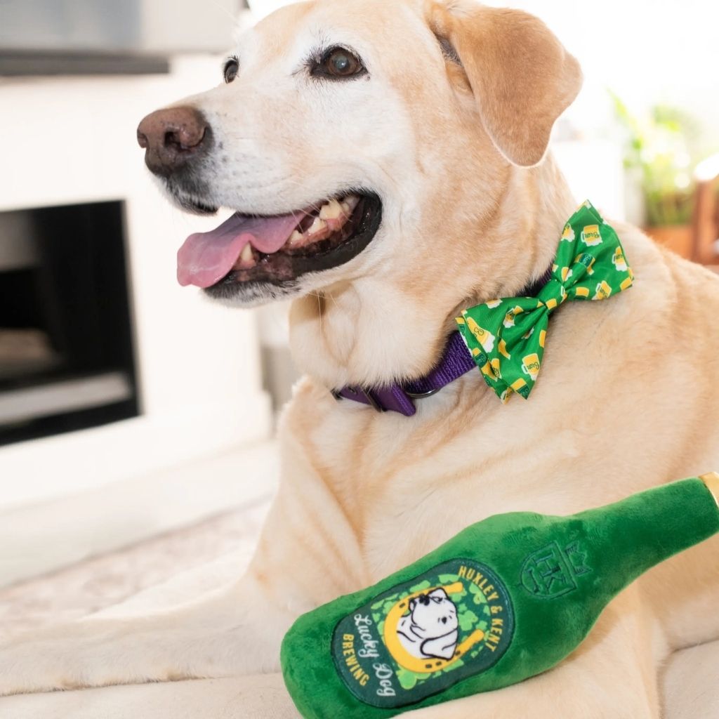 Huxley & Kent - Lulubelles Power Plush Lucky Dog Beer Plush Dog Toy
