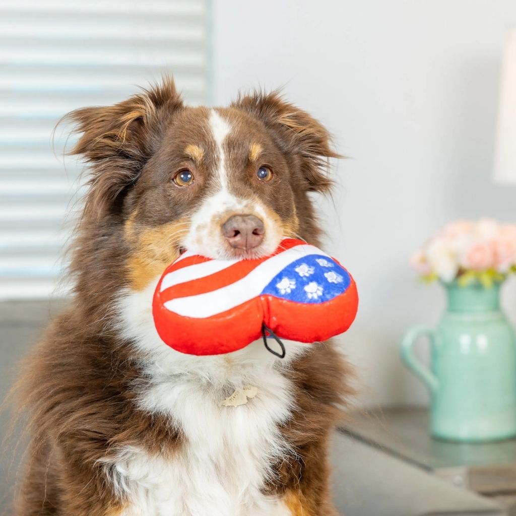 Huxley & Kent - Lulubelles Patriotic Power Plush Dog Toy - Paws & Stripes Heart