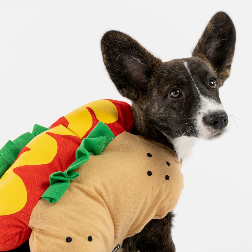 Hot Dog Costume For Dog