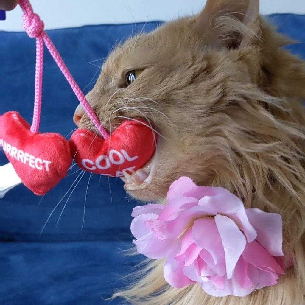 Kittybelles Heart Strings Plush Cat Toy