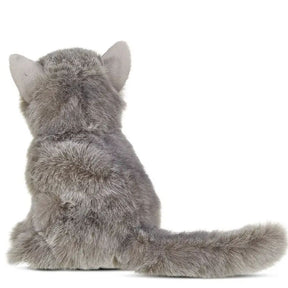 Gordie the Grey Persian Cat by Bearington