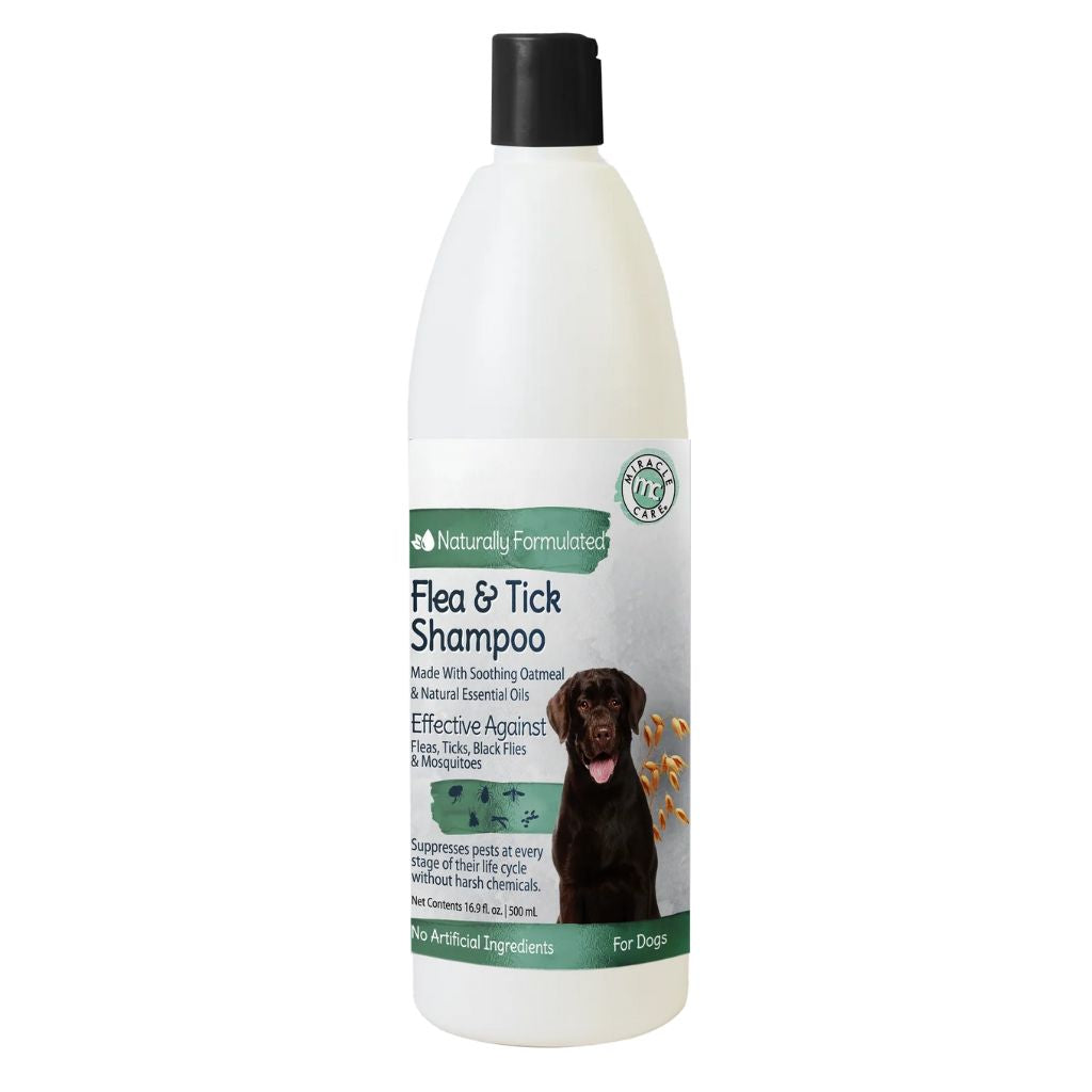 Naturally Fomulated - Natural Flea & Tick Dog Shampoo 16.9 oz.