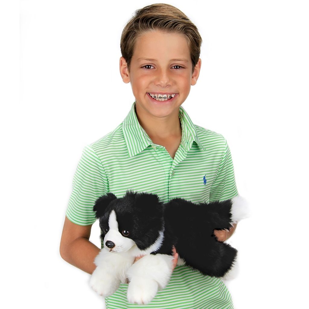  Border Collie Realistic Plush;Stuffed Animal Plush Toy, Gifts  for Kids : Toys & Games