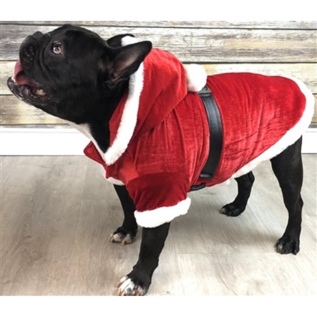 Dog Santa Hoodie-Southern Agriculture