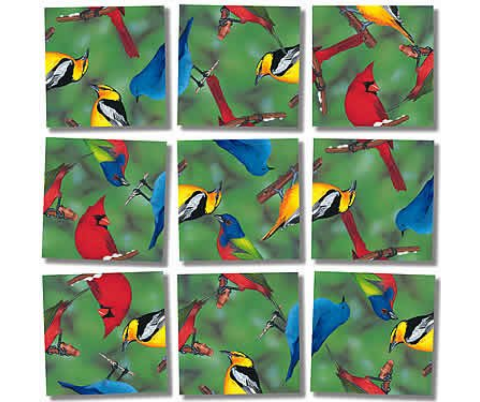 Scramble Squares - North American Birds-Southern Agriculture