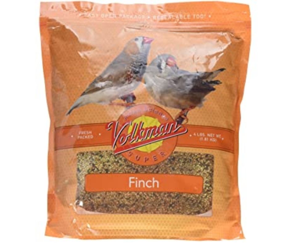 Volkman Seed Avian Science Super Finch-Southern Agriculture