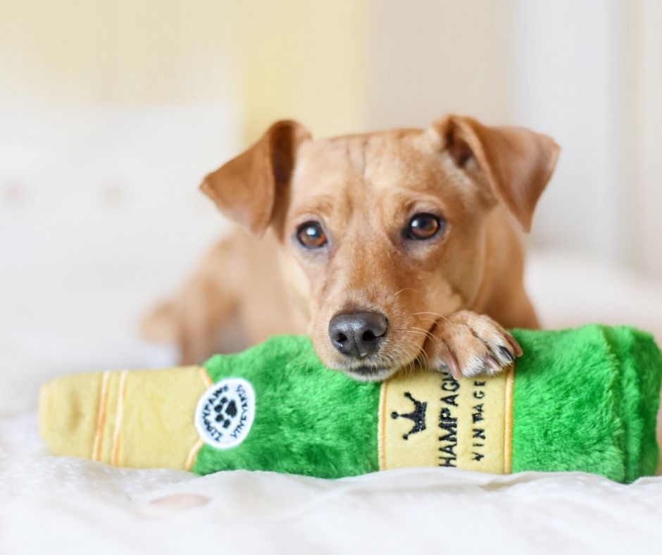 Barkin Bag Hundespielzeug – Interaktive Plüsch-Handtasche Mit Quietscher & Zerrseil, Langlebig Barkin Bag Hundespielzeug – Interaktive Plüsch-Handtasche Mit Quietscher & Zerrseil, Langlebig