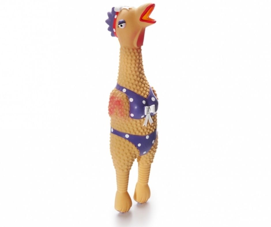 Charming Pet - Squawkers Henrietta. Dog Toy.-Southern Agriculture