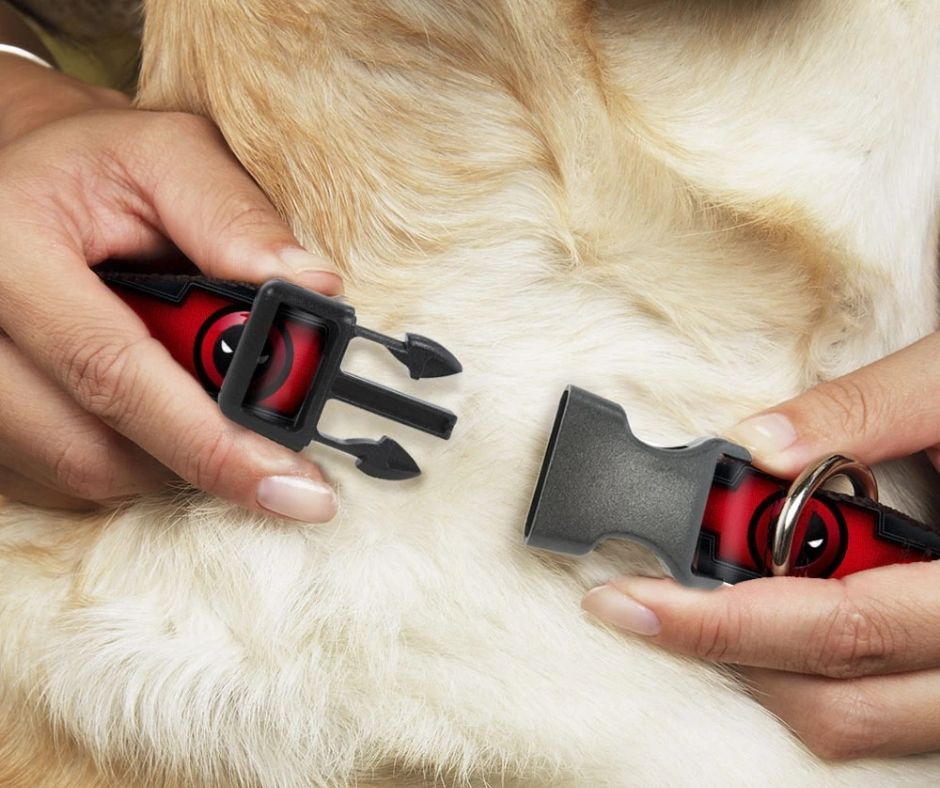 Deadpool dog outlet harness