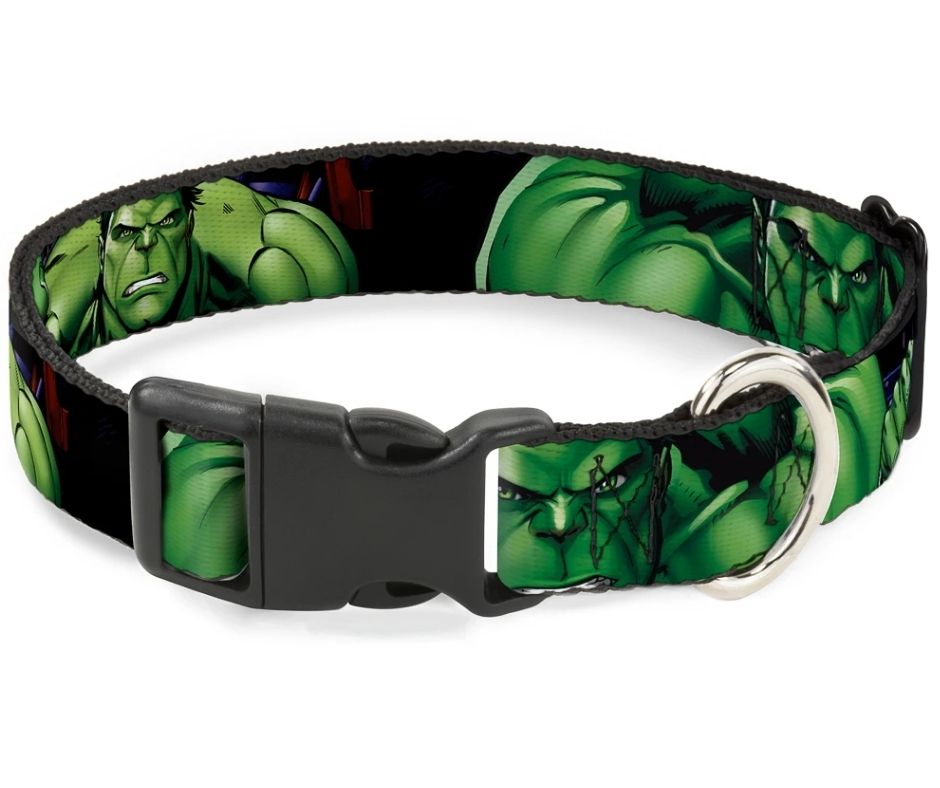 Marvel Hulk Close-Up Poses Plastic Clip, Dog Collar by Buckle-Down-Southern Agriculture