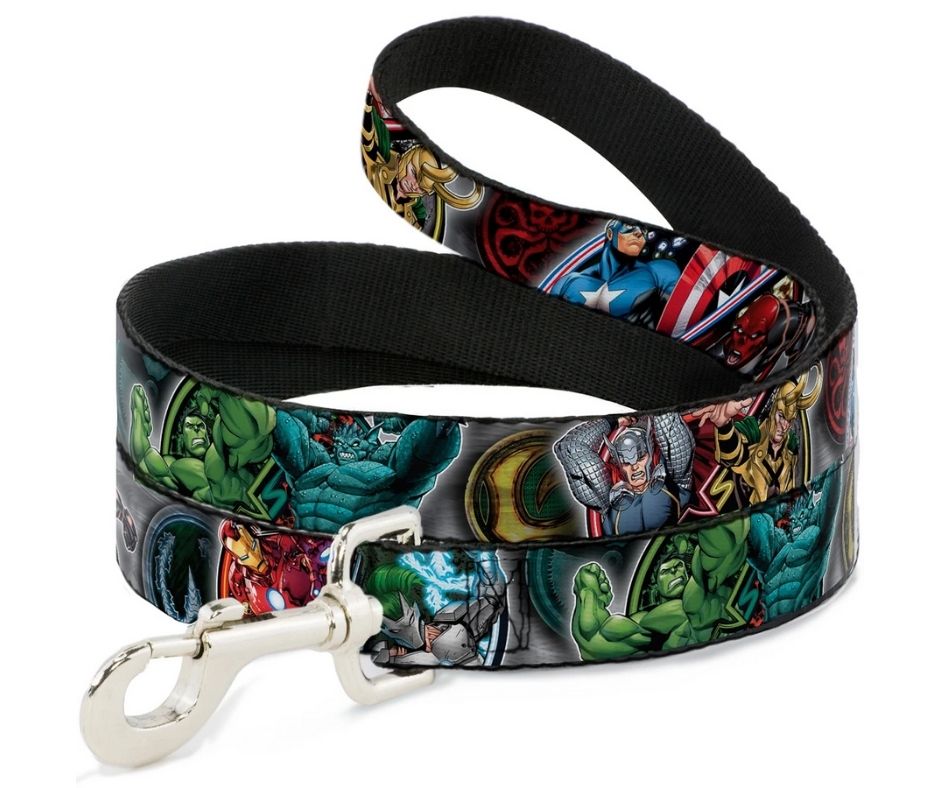 Marvel Avengers Superhero/Villain Poses Dog Leash by Buckle-Down-Southern Agriculture