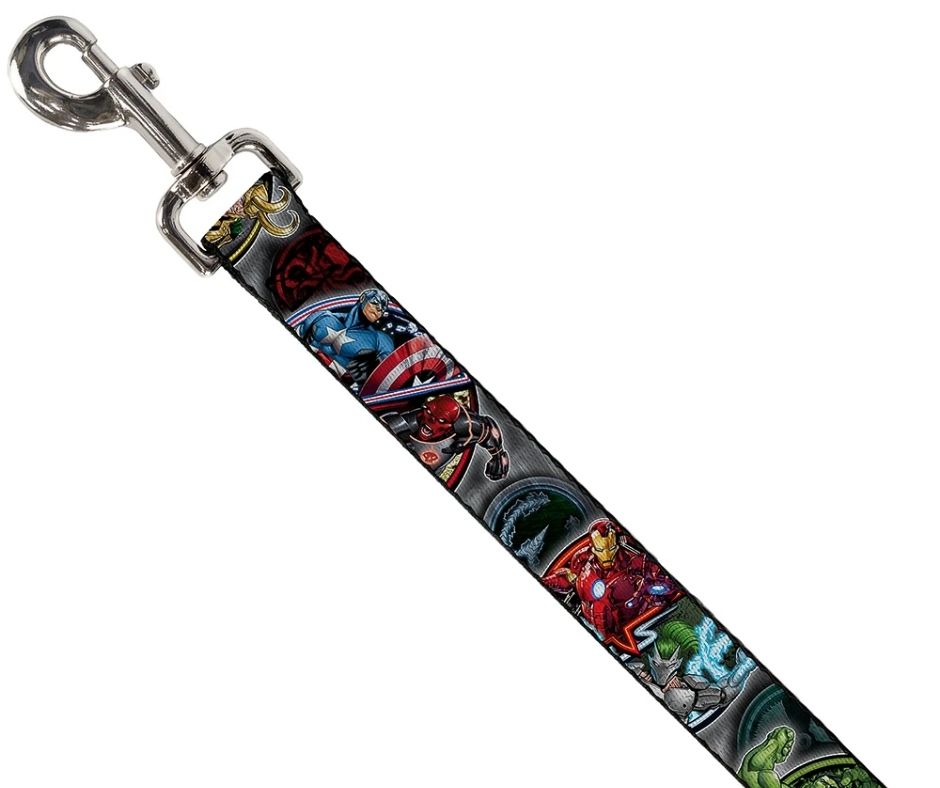 Marvel Avengers Superhero/Villain Poses Dog Leash by Buckle-Down-Southern Agriculture