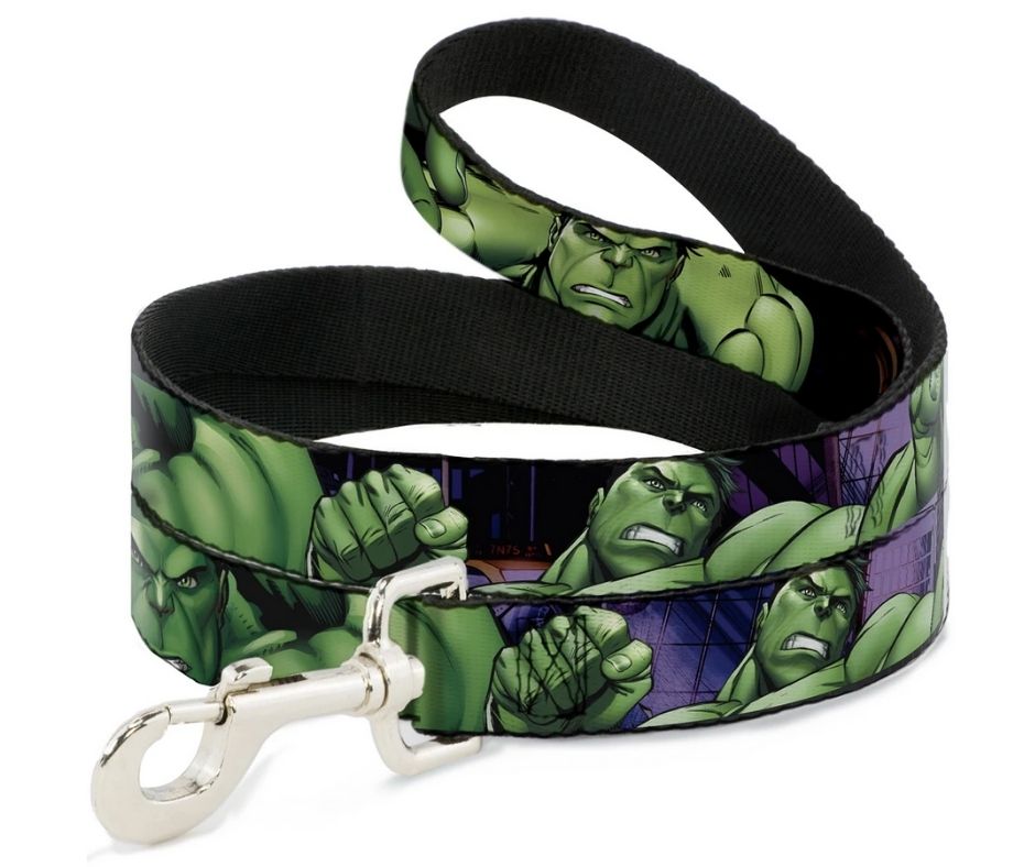 Marvel Hulk Close Up Poses Dog Leash by Buckle-Down-Southern Agriculture