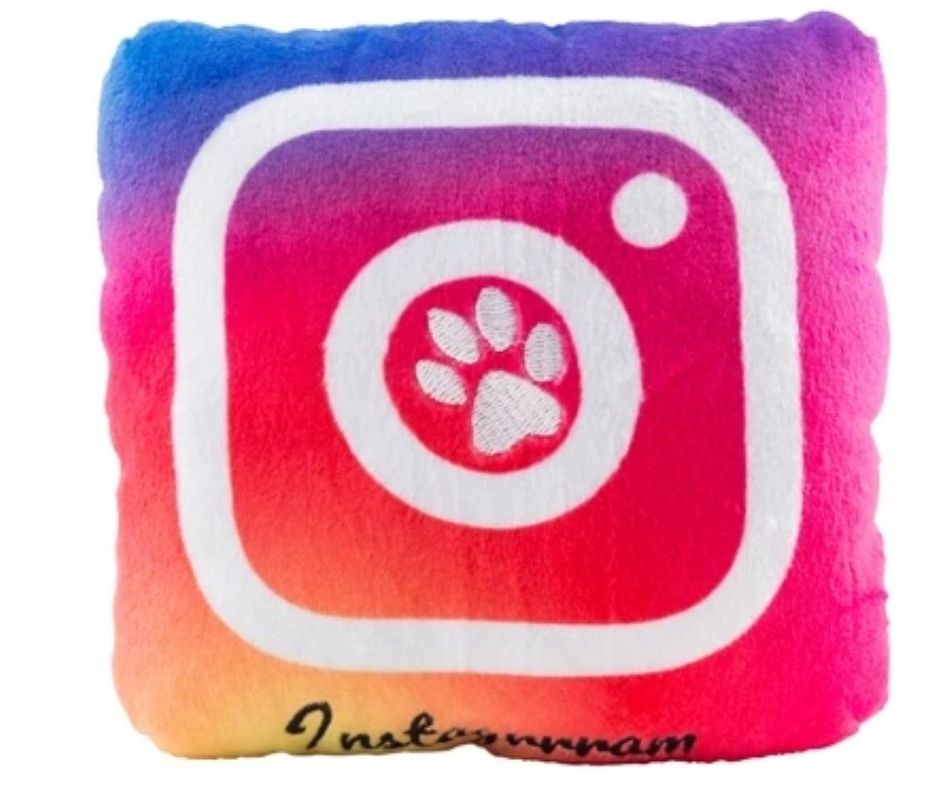 Instagrrram Dog Toy by Haute Diggity Dog-Southern Agriculture