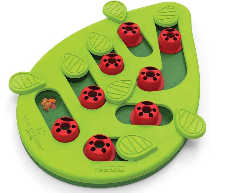 Petstages - Buggin Out Cat Puzzle. Cat Toy.-Southern Agriculture