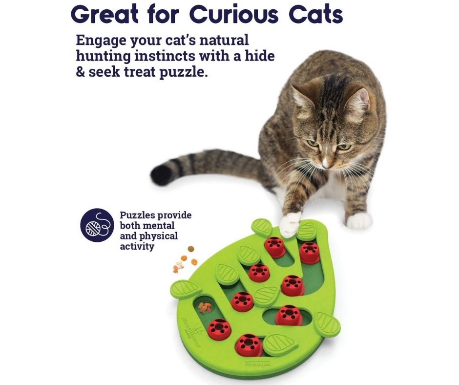 Petstages - Buggin Out Cat Puzzle. Cat Toy.-Southern Agriculture