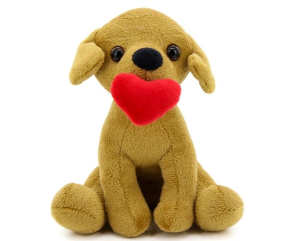 Labrador PawPal with Heart-Southern Agriculture