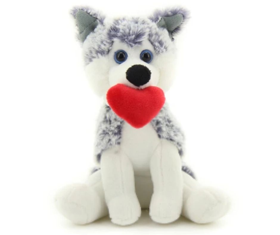Husky PawPal with heart-Southern Agriculture