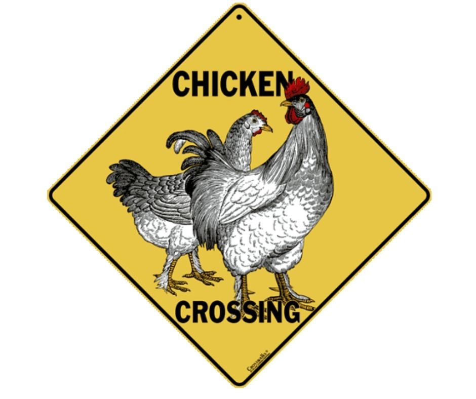 Chicken Crossing Sign by CrossWalks-Southern Agriculture